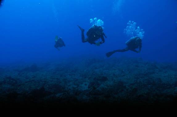 mergulho em Iúias, em Fernando de Noronha - PE (foto de Mateus Harfush - Ciliares)